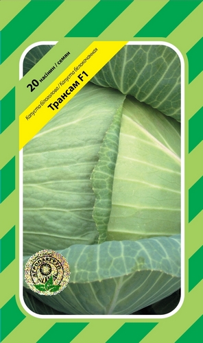 Капуста Трансам F1  20 семян. А Капуста Трансам F1  20 семян. А