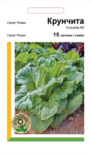 Салат Крунчита, Ромен 15 драж. А Салат Крунчита, Ромен 15 драж. А