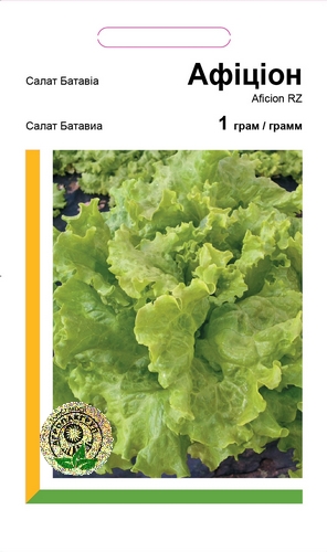 Салат Батавиа Афицион - 1 грамм(Rijk Zwaan) Салат Батавиа Афицион - 1 грамм(Rijk Zwaan)