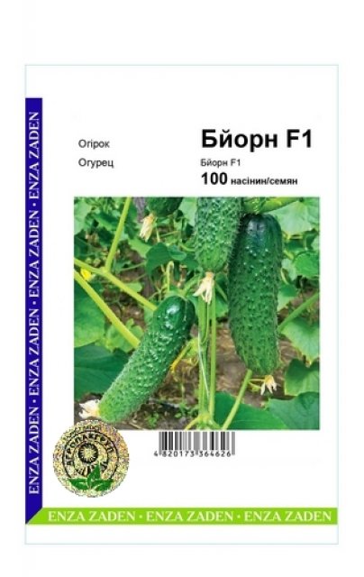 Огурец Бьорн F1 100 семян. А Огурец Бьорн F1 100 семян. А