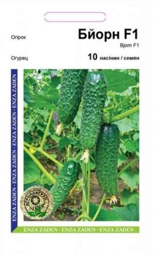 Огурец Бьорн F1 10 семян. А Огурец Бьорн F1 10 семян. А