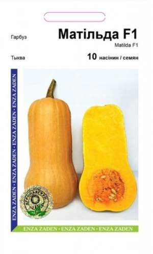 Тыква Матильда 10 семян.   А Тыква Матильда 10 семян.   А