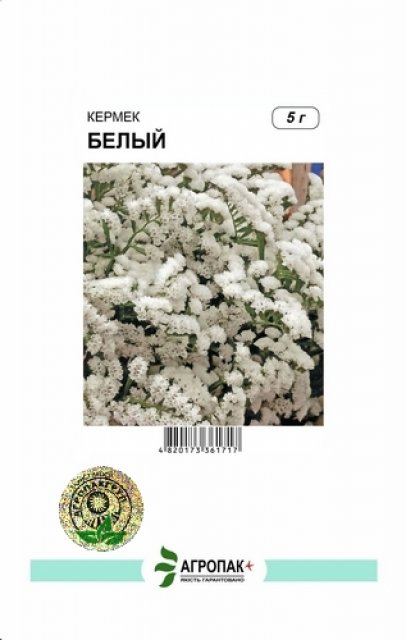 Кермек выемчатый белый 5г А Кермек выемчатый белый 5г А