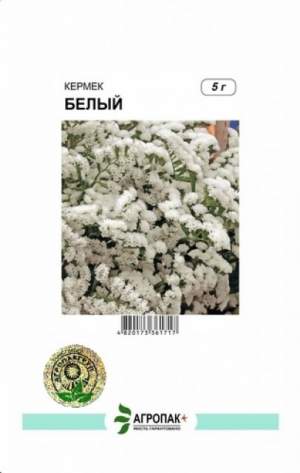 Кермек выемчатый белый 5г А Кермек выемчатый белый 5г А