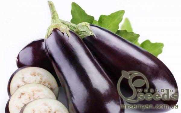 Баклажаны Фабина 5г. (Clause) Баклажаны Фабина 5г. (Clause)