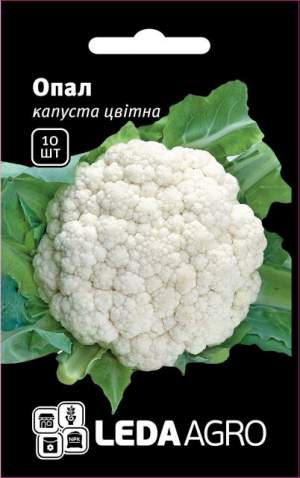 Капуста цветная Опал 10 семян. L Капуста цветная Опал 10 семян. L