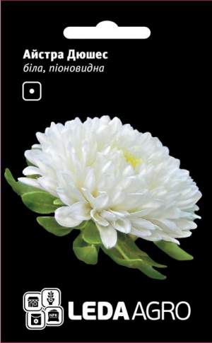 Астра Дюшес белая, пионовидная 0,2г. L Астра Дюшес белая, пионовидная 0,2г. L