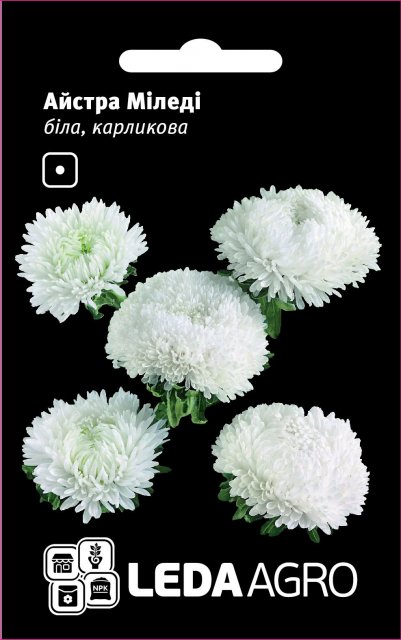 Астра Миледи белая карликовая 0,2г. L Астра Миледи белая карликовая 0,2г. L