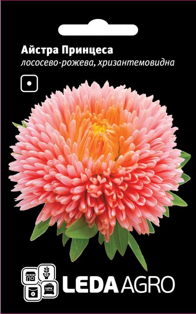 Астра Принцесса лососево-розовая, хризантем. 0,2г. L Астра Принцесса лососево-розовая, хризантем. 0,2г. L