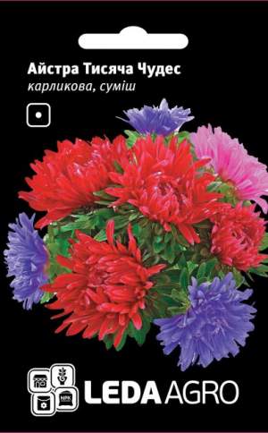 Астра Тысяча Чудес, карликовая смесь 0,2г. L Астра Тысяча Чудес, карликовая смесь 0,2г. L