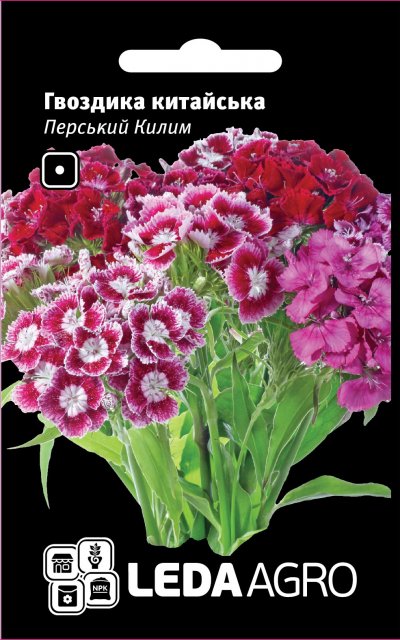 Гвоздика Персидский ковер смесь 0,1г. L Гвоздика Персидский ковер смесь 0,1г. L