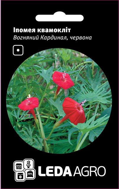 Ипомея Огненный Кардинал, красный 0,5 г Л Ипомея Огненный Кардинал, красный 0,5 г Л