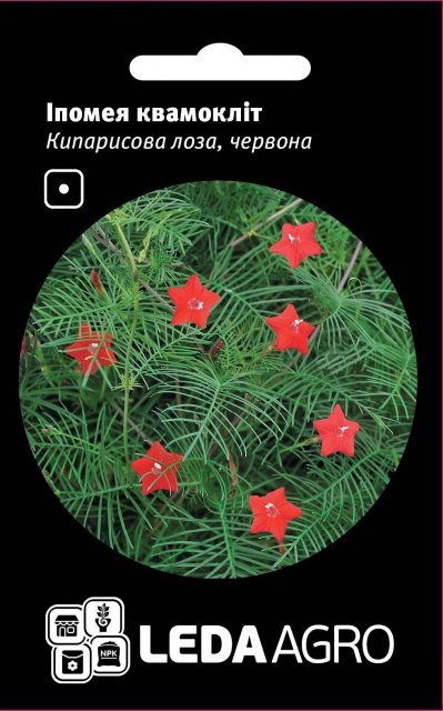 Ипомея Кипарисовая лоза, красная 0,2 г Ипомея Кипарисовая лоза, красная 0,2 г