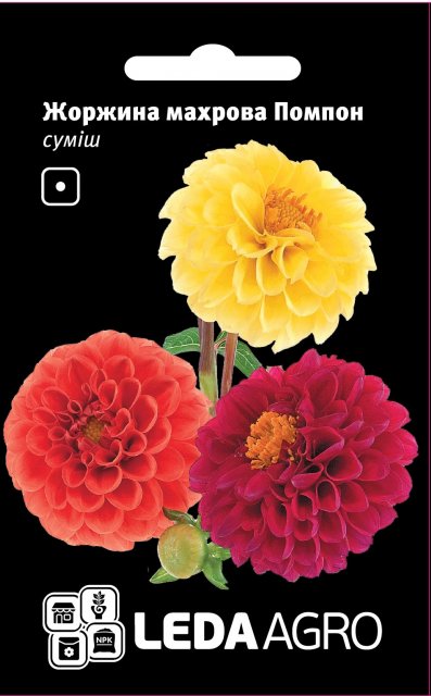 Георгина Помпон махровая, смесь 0,2г. L Георгина Помпон махровая, смесь 0,2г. L