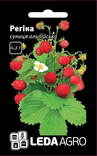 Земляника альпийская Регина 0,2г. L Земляника альпийская Регина 0,2г. L