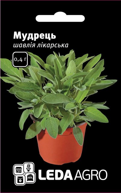 Шалфей Мудрец (лекарственный) 0,4г.  L Шалфей Мудрец (лекарственный) 0,4г.  L