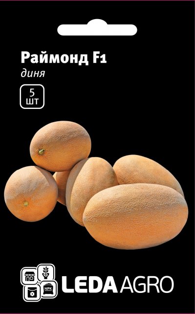 Диня Раймонд F1 (ананасная) 5 семян. L Диня Раймонд F1 (ананасная) 5 семян. L