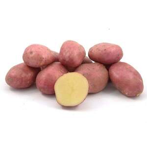 Картофель Эволюшн (ранняя) 3 кг (1 репродукция) Нидерланды