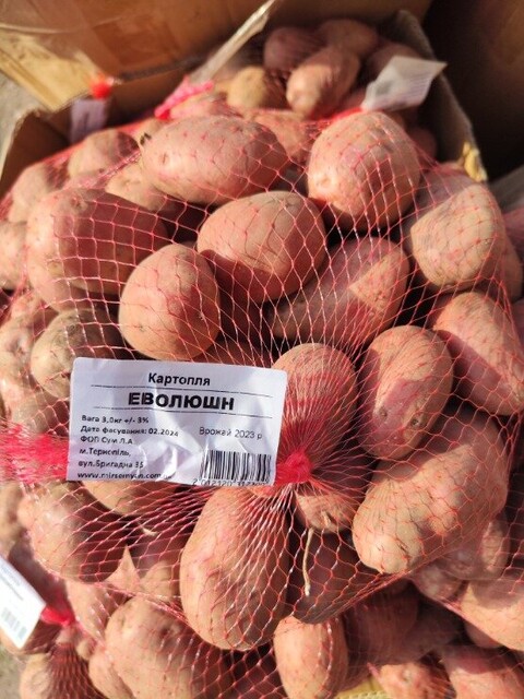 Картофель Эволюшн (ранняя) 3 кг (1 репродукция) Нидерланды Картофель Эволюшн (ранняя) 3 кг (1 репродукция) Нидерланды