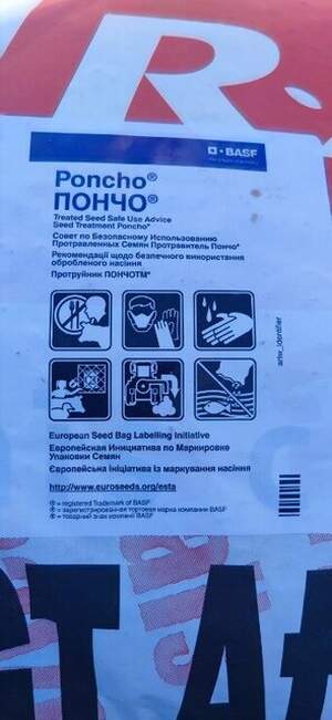 Кукуруза RGT Атраксион/Attraxxion (ФАО 270) мешок 1 посевная ед.