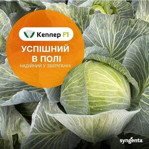 Капуста Кеплер F1 2500н Syngenta