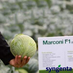 Смесь газонных трав «Для сенокоса и молочных коров» Agronas 5 кг. Смесь газонных трав «Для сенокоса и молочных коров» Agronas 5 кг.