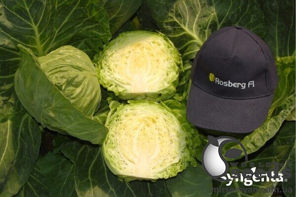 Смесь газонных трав «Луговая» Agronas 20 кг. Смесь газонных трав «Луговая» Agronas 20 кг.