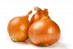 Лук севок озимая Августа, (Augusta) 1 кг Лук севок озимая Августа, (Augusta) 1 кг