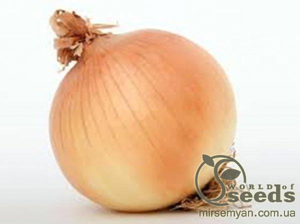 Лук севок озимый Радар/ Radar 0,5кг Netherlands Лук севок озимый Радар/ Radar 0,5кг Netherlands