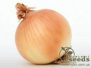 Лук севок озимый Радар/ Radar 0,5кг Netherlands Лук севок озимый Радар/ Radar 0,5кг Netherlands