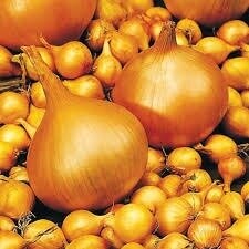 Лук севок озимый Августа, (Augusta)? 0,5 кг  (Nederland) Лук севок озимый Августа, (Augusta)? 0,5 кг  (Nederland)