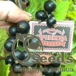 Саженцы Смородини черной Радужная