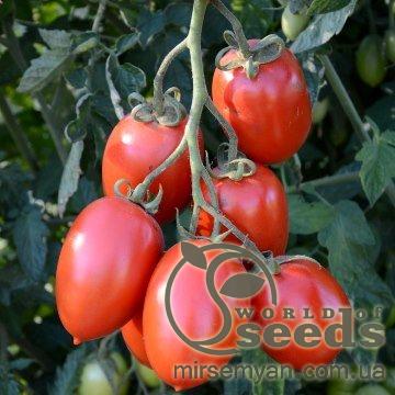 Помидоры Гранадеро F1 250 семян. (Enza Zaden) Помидоры Гранадеро F1 250 семян. (Enza Zaden)