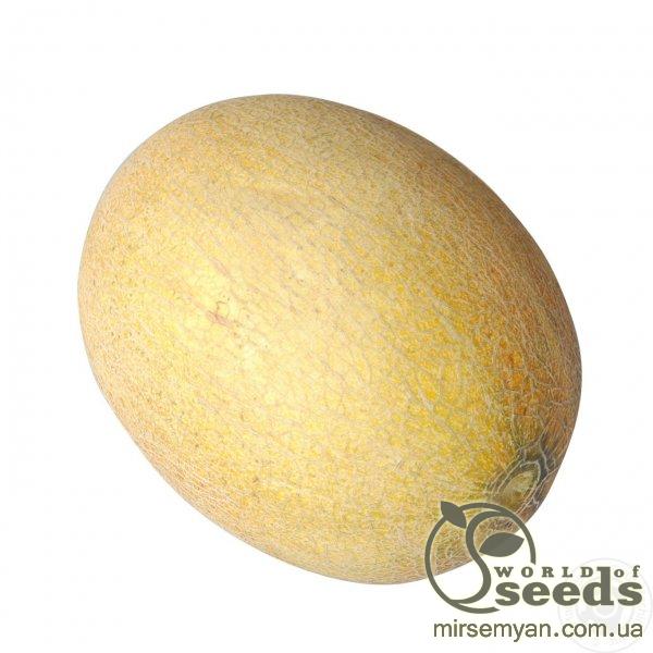 Дыня Карамель F1 5000 семян. (Clause) Дыня Карамель F1 5000 семян. (Clause)