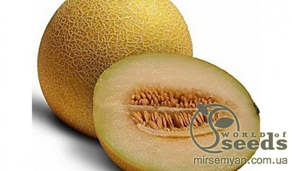 Дыня Голди F1 5000 семян. (Clause) Дыня Голди F1 5000 семян. (Clause)