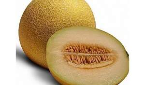 Дыня Голди F1 5000 семян. (Clause) Дыня Голди F1 5000 семян. (Clause)