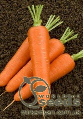 Морковь Сатурно F1 (1,6-2.0мм) 25 000н Клоз