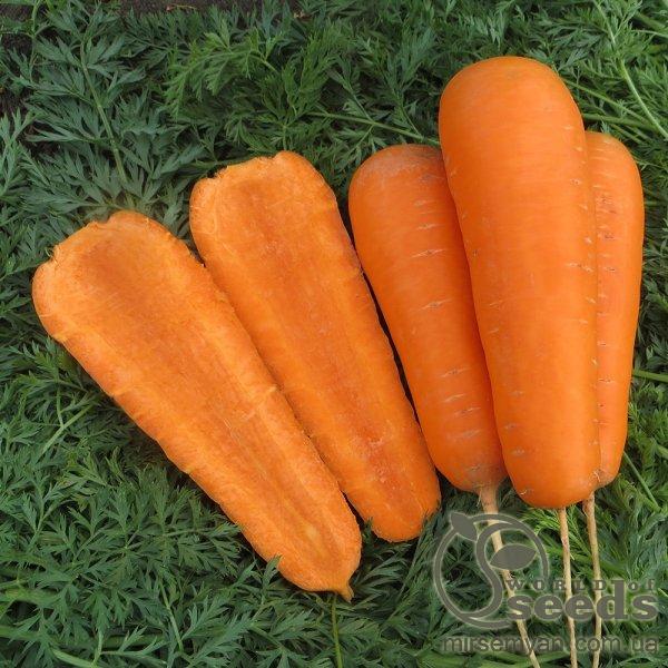 Морковь Боливар F1 (1,4-1,6мм) 100 000 семян. (Clause) Морковь Боливар F1 (1,4-1,6мм) 100 000 семян. (Clause)