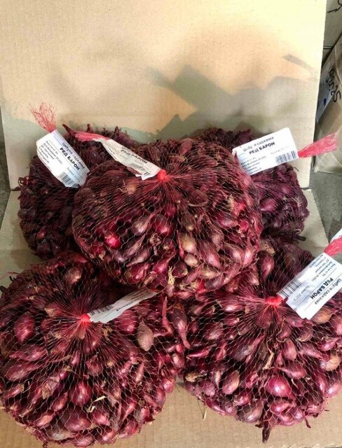 Лук севок озимый Ред Барон, (Red Baron), 0,5 кг Netherlands Лук севок озимый Ред Барон, (Red Baron), 0,5 кг Netherlands