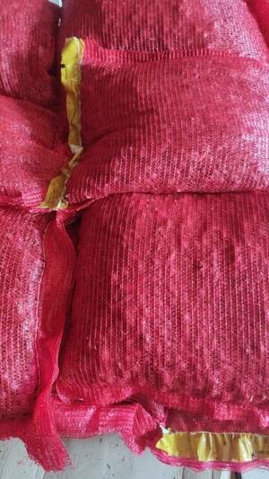 Лук севок озимый Ред Барон, (Red Baron), 0,5 кг  Netherlands