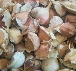 Чеснок озимый Любаша (однозубка), 500 г.