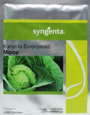 Капуста Мирор F1 2500 семян. (Syngenta) Капуста Мирор F1 2500 семян. (Syngenta)