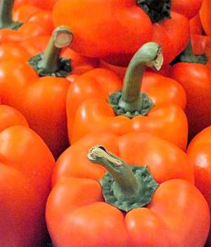 Перец Магно F1 500 семян. (Enza Zaden) Перец Магно F1 500 семян. (Enza Zaden)