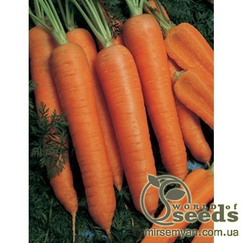 Морковь Наполи F1 (1,8-2мм) 100 000 семян. (Bejo) Морковь Наполи F1 (1,8-2мм) 100 000 семян. (Bejo)