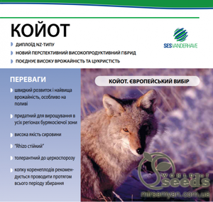 Свекла сахарная Койот (драже) 1кг Свекла сахарная Койот (драже) 1кг