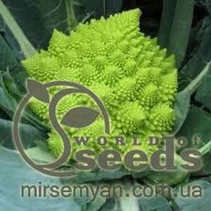 Капуста цветная Вердоне F1  2500 семян. (Enza Zaden)