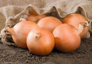 Лук Роухайд F1 250 000 семян. (Bejo) Лук Роухайд F1 250 000 семян. (Bejo)