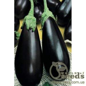 Баклажан Блэк Перл F1. 500 семян. (Enza Zaden) Баклажан Блэк Перл F1. 500 семян. (Enza Zaden)