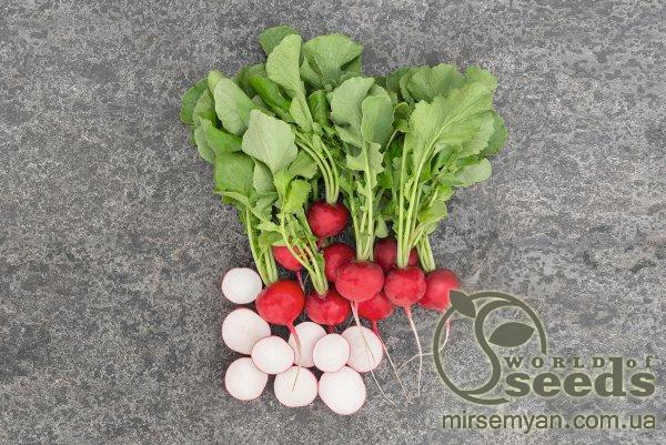 Редис Роксан F1 (2,25-2,5мм) 10 000 семян. (Bejo)о Редис Роксан F1 (2,25-2,5мм) 10 000 семян. (Bejo)о