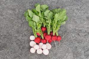 Редис Роксан F1 (2,75-3мм) 10 000 семян. (Bejo) Редис Роксан F1 (2,75-3мм) 10 000 семян. (Bejo)